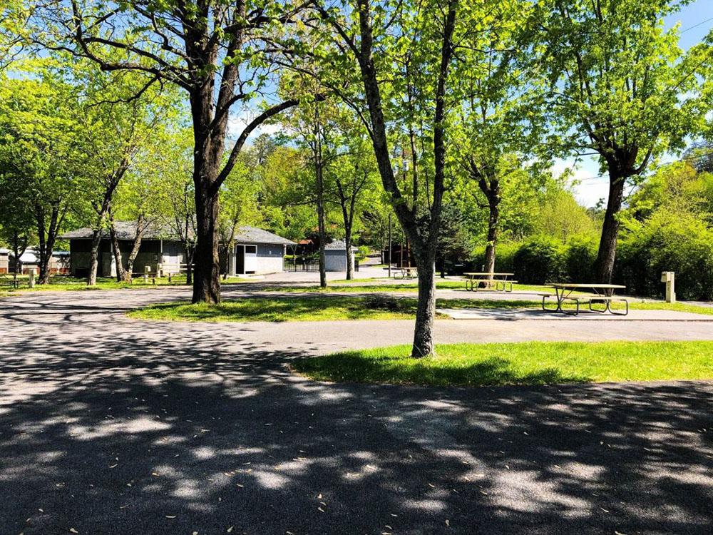 Paved sites with trees at FOOTHILLS RV PARK & CABINS