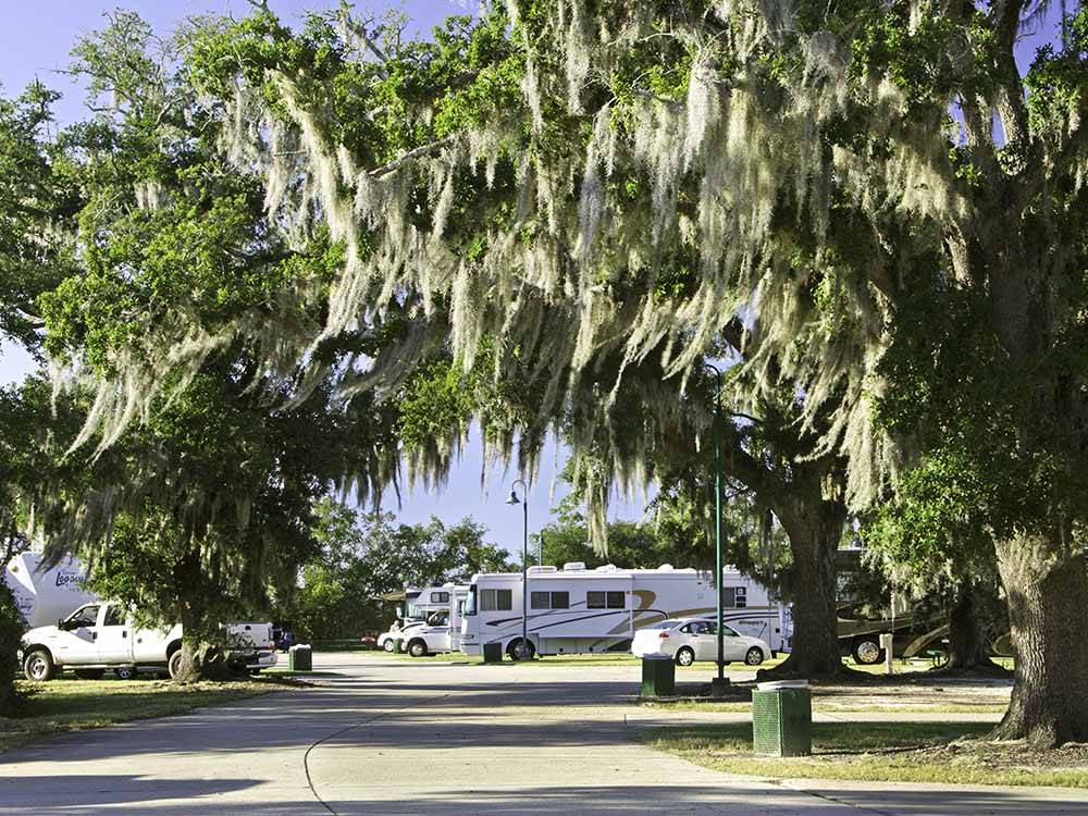 Campsites with campers  at HOLLYWOOD CASINO RV PARK- GULF COAST