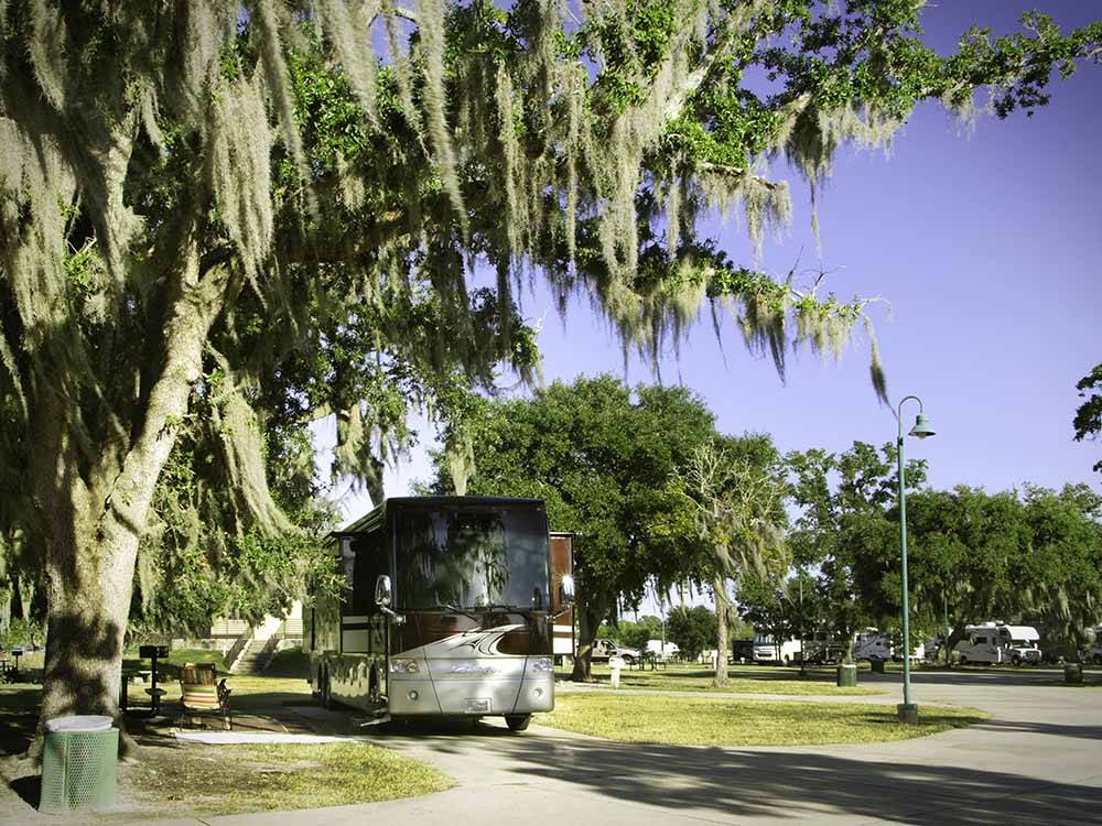 Motorhome under the canopy of a tree at HOLLYWOOD CASINO RV PARK- GULF COAST