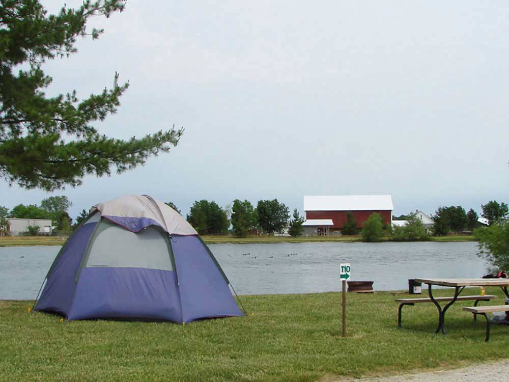 Tent camping on the water at SAUDER VILLAGE CAMPGROUND
