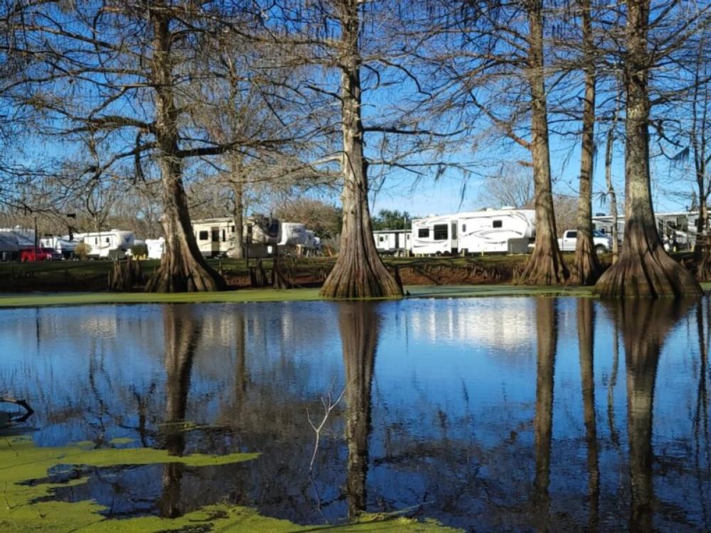 View of RVs through trees from the lake at Bayou Wilderness RV Campground