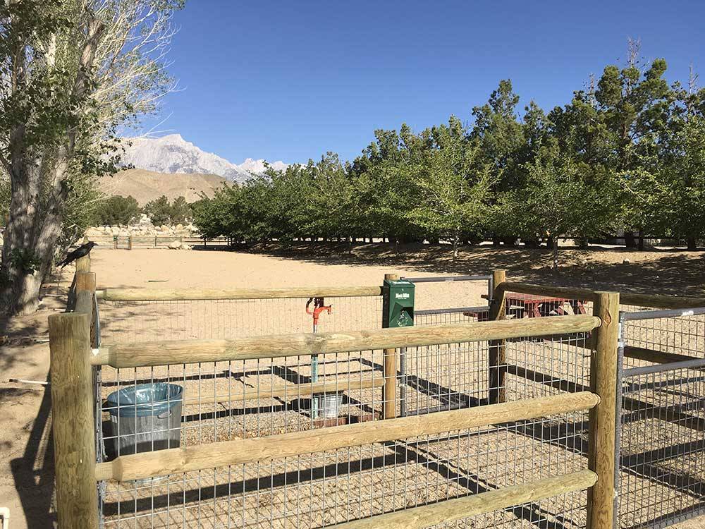 Dog exercise area at BOULDER CREEK RV RESORT