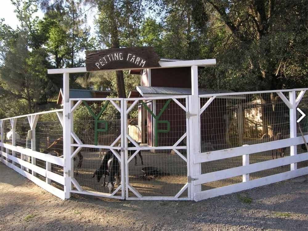 The fence around the petting farm at YOSEMITE PINES RV RESORT AND FAMILY LODGING