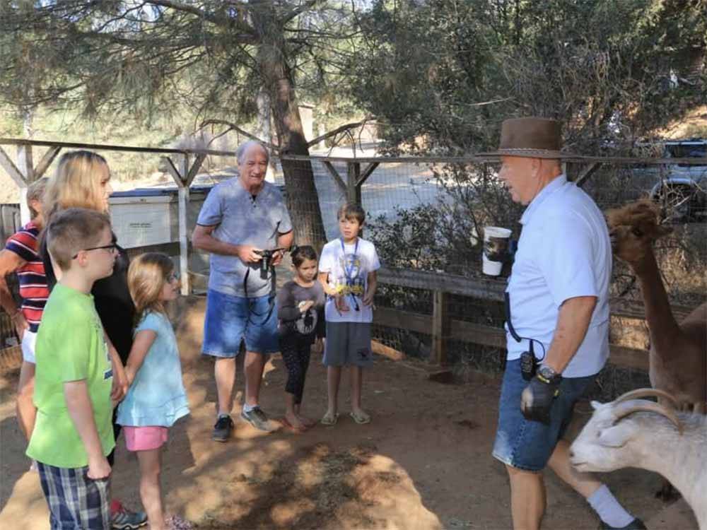 An employee talking to a group of people in the petting farm at YOSEMITE PINES RV RESORT AND FAMILY LODGING