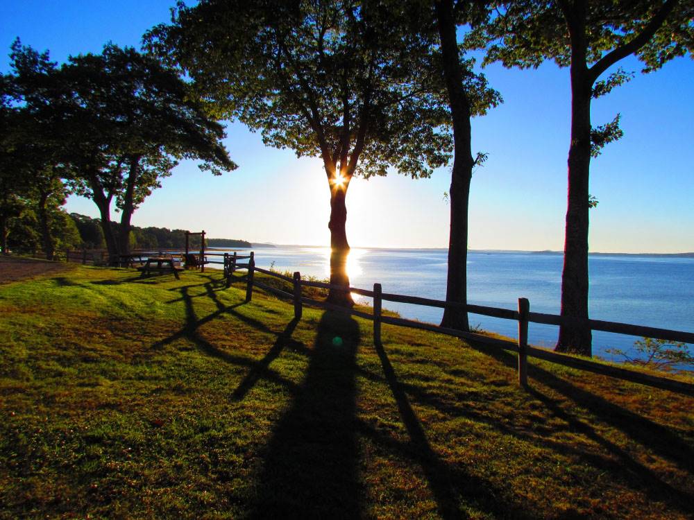A view of the ocean and trees at dusk
