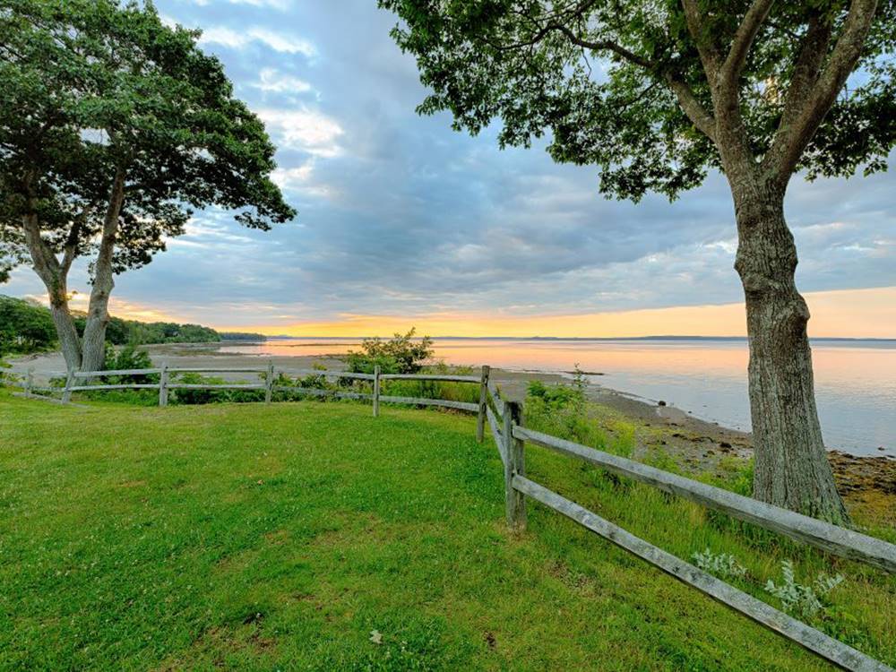 A view of the ocean from a grassy patch
