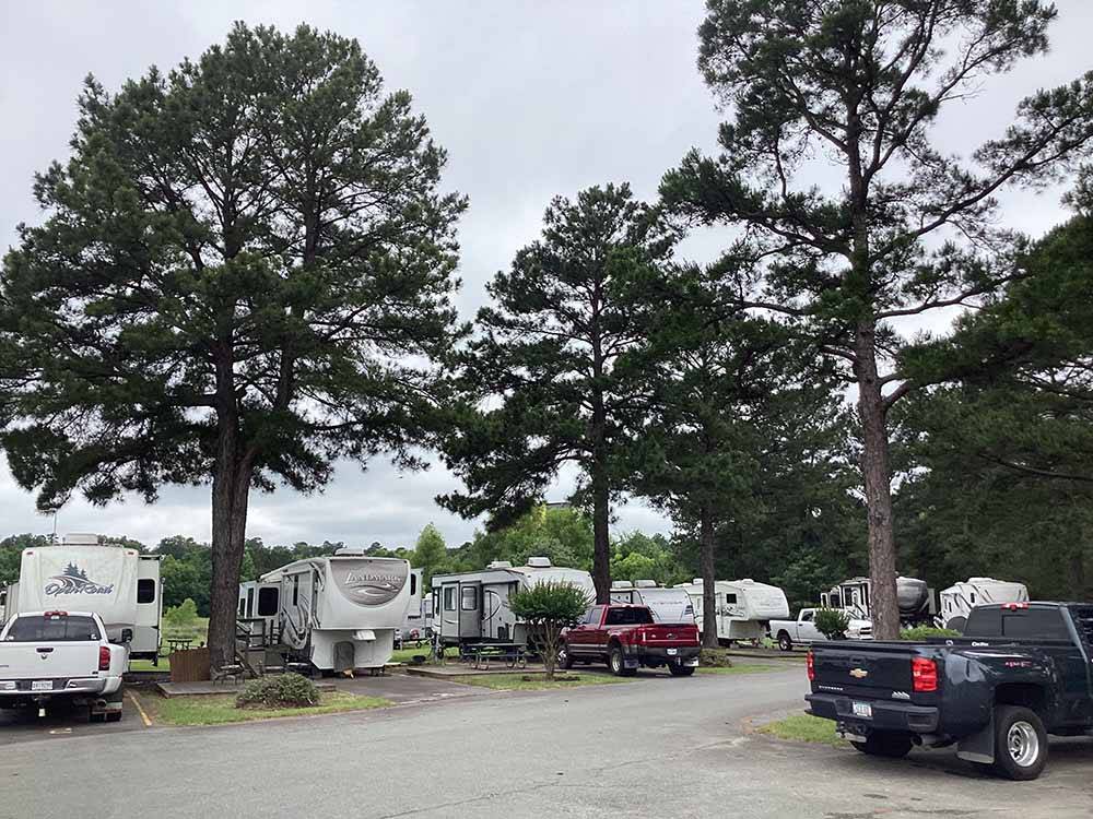 A row of RV sites with trees at TRAVELCENTERS OF AMERICA RV PARK