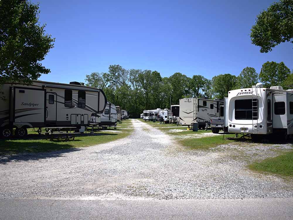 The gravel road between RV sites at QUILLY'S MAGNOLIA RV PARK
