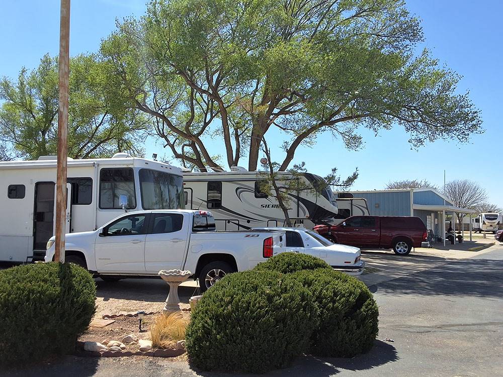 RVs and vehicles parked in sites