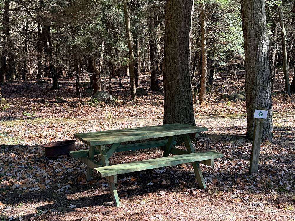 Picnic table on site