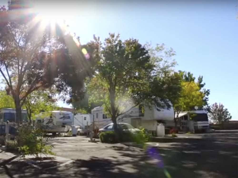 A group of RV sites with trees at VICTORIAN RV PARK