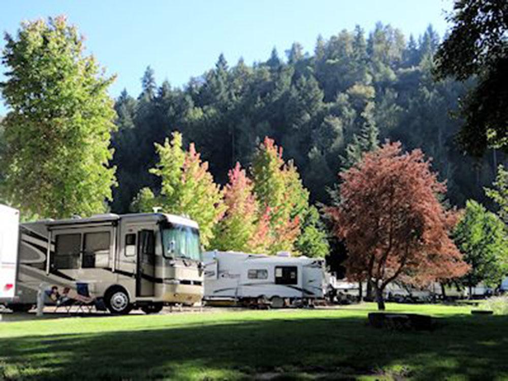 RVs parked with trees and evergreen mountain in background at ON THE RIVER GOLF & RV RESORT