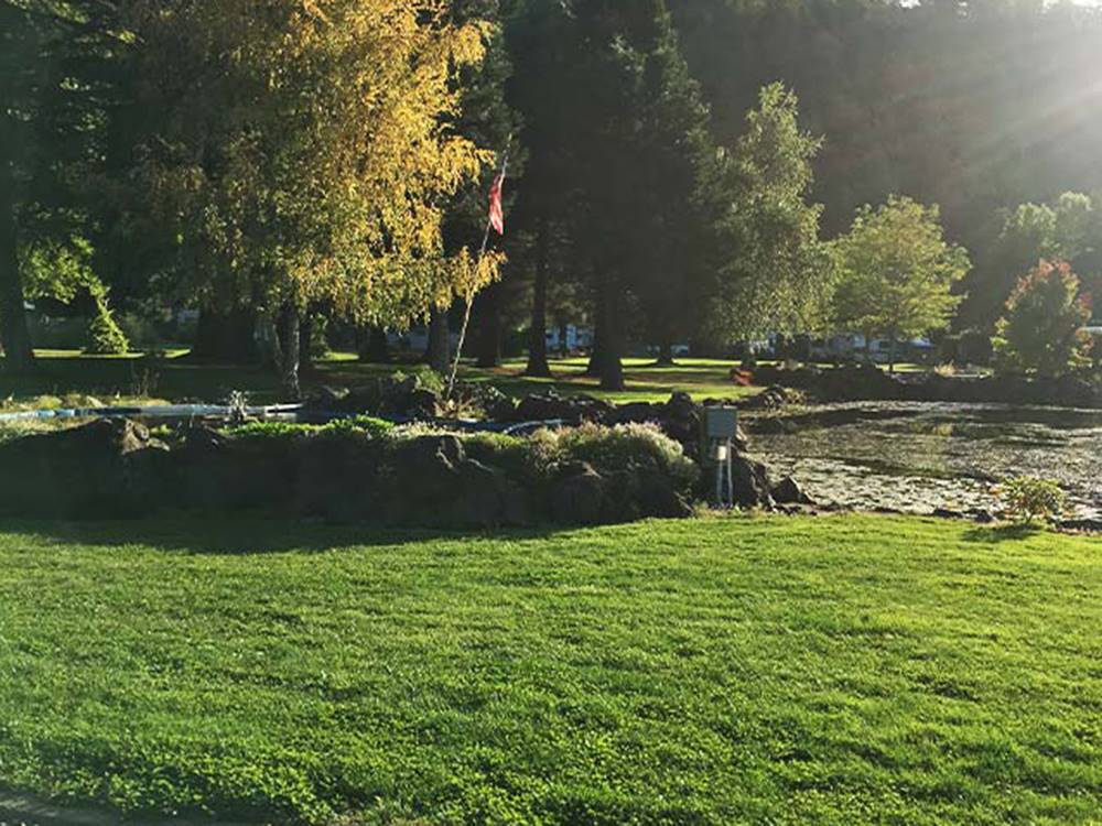 Landscaped lawn RVs in background