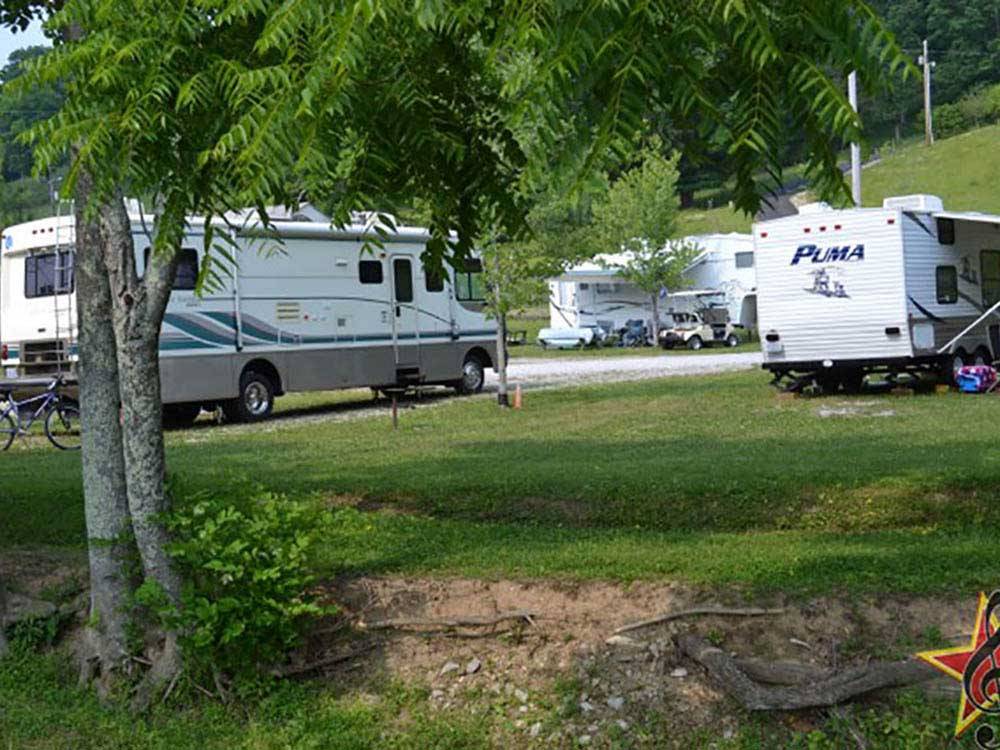 Motorhomes in campsites at MUSIC VALLEY RV PARK