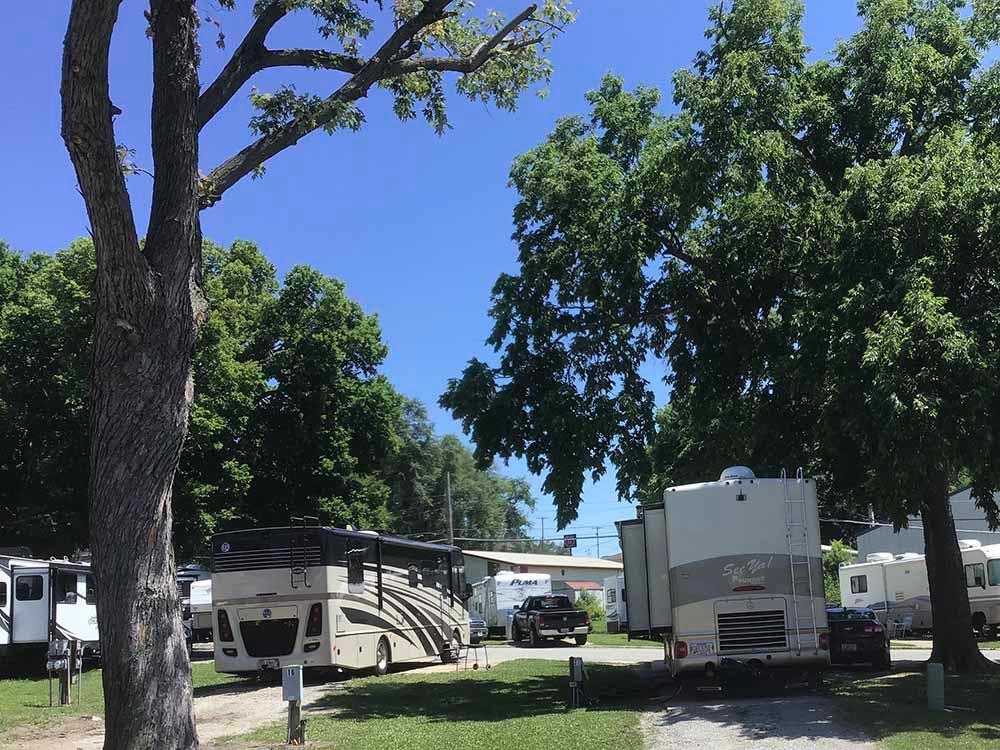 Campers under shady trees, in sites at BEACON RV PARK