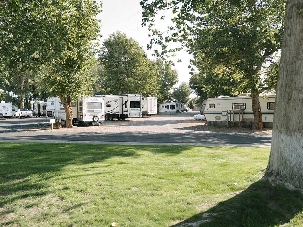 Multiple RVs parked on-site at DRIFTWOOD RV PARK
