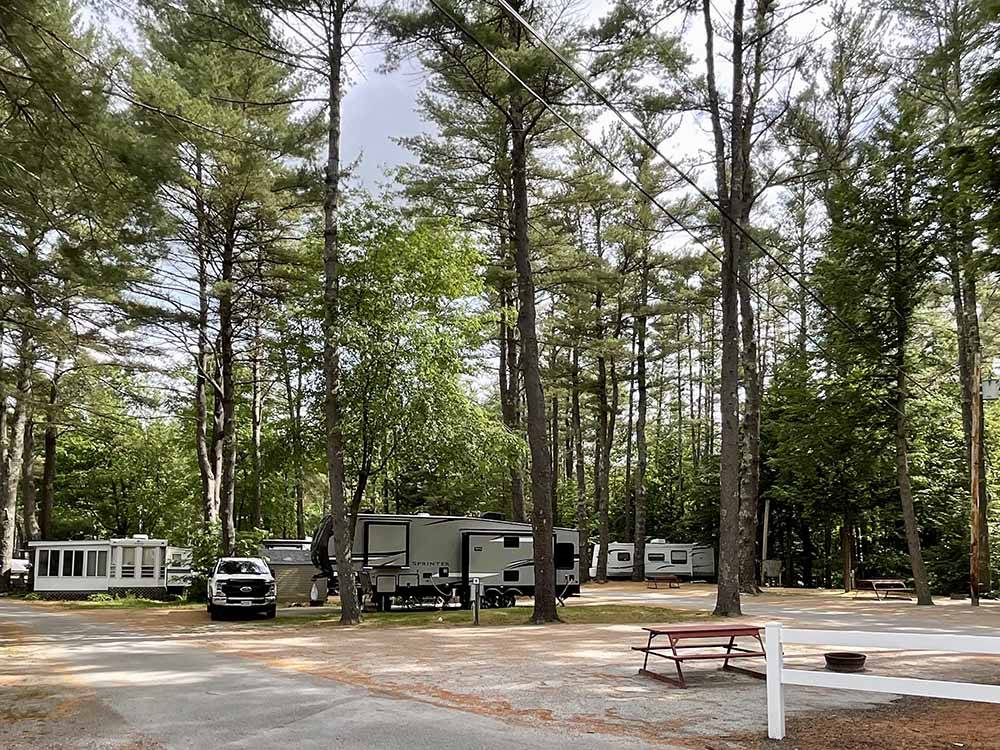 A group of RV sites under trees at COLD SPRINGS CAMP RESORT