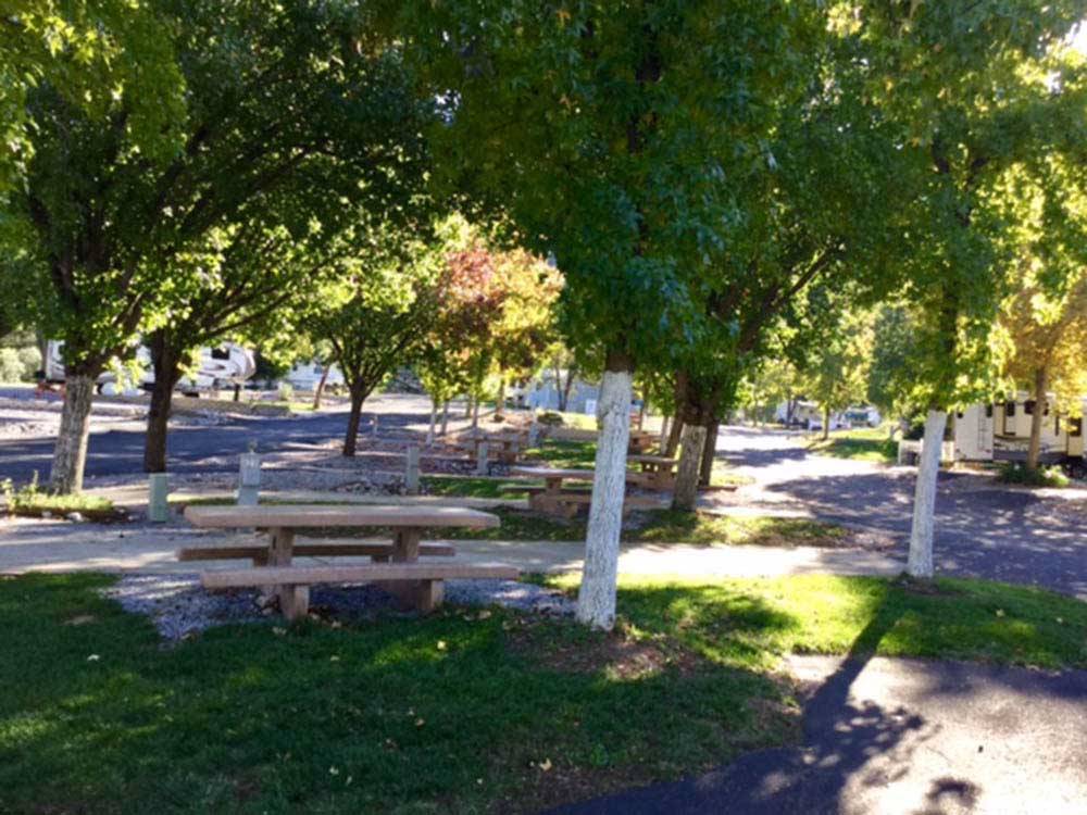 A row of pull thru RV sites at MOUNTAIN GATE RV PARK