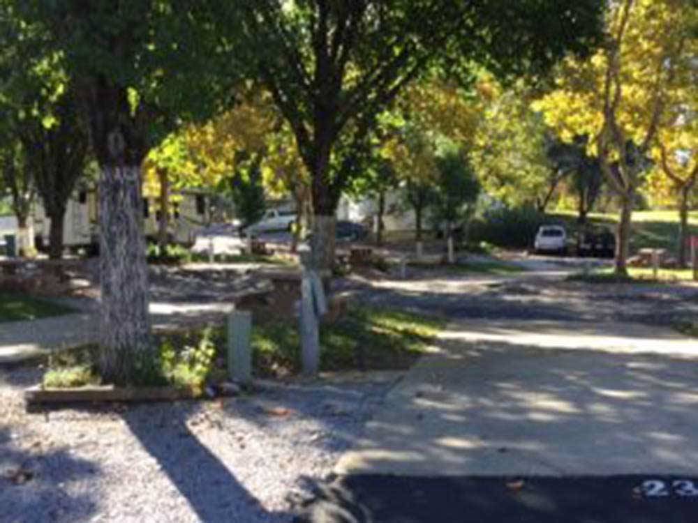 A group of RV sites under trees at MOUNTAIN GATE RV PARK