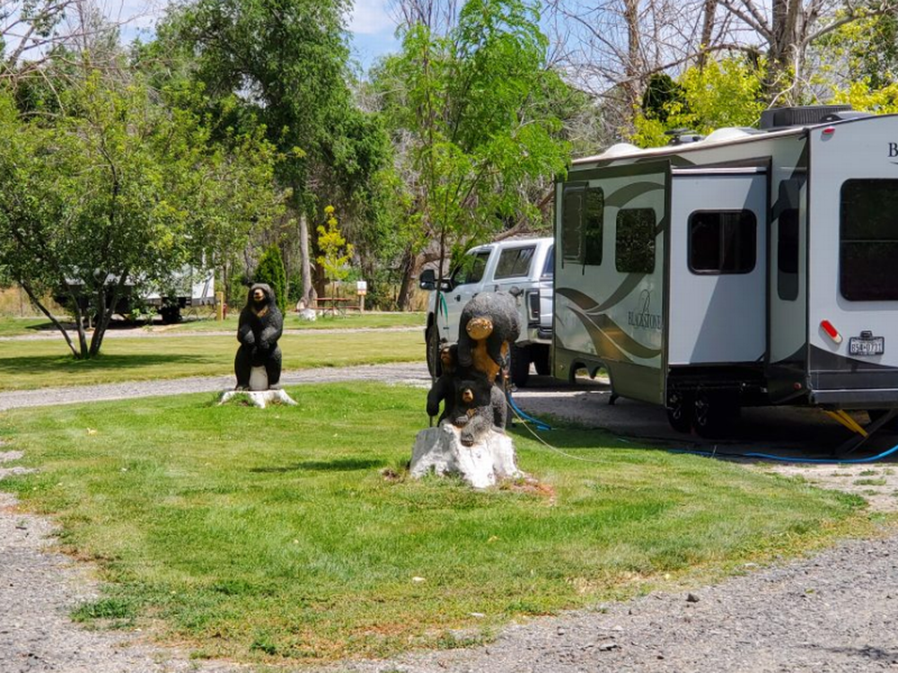 Wilson's RV & Park 5
