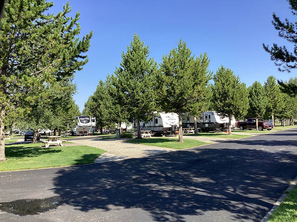 Trailers backed in at the gravel sites at YELLOWSTONE GRIZZLY RV PARK