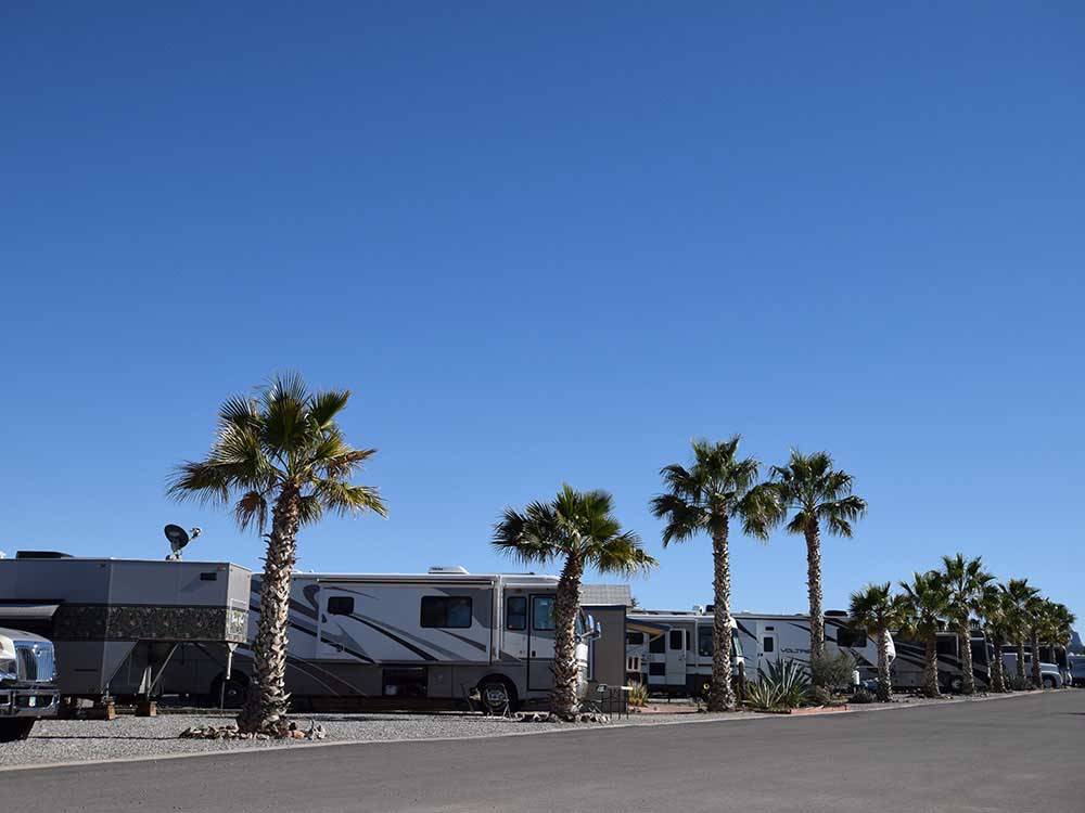 Trailers and RVs camping at DESERT GOLD RV RESORT