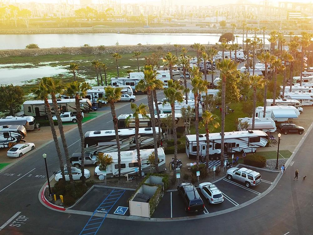 Aerial view parked RVs, palm trees and water at GOLDEN SHORE RV RESORT