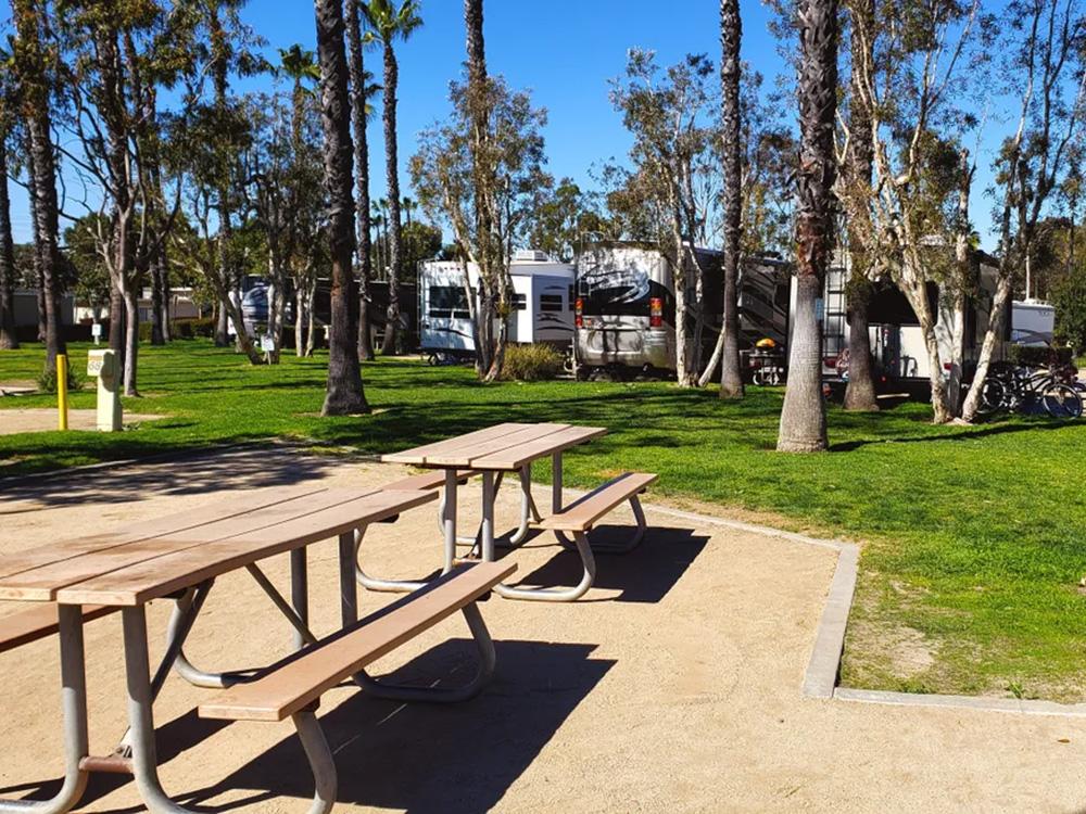 Parked RVs, picnic benches at GOLDEN SHORE RV RESORT