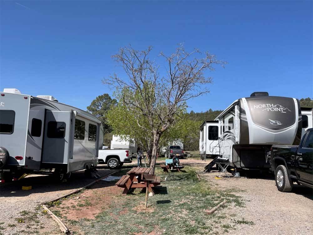 RV campsites with wooden picnic tables and trees at TURQUOISE TRAIL CAMPGROUND & RV PARK