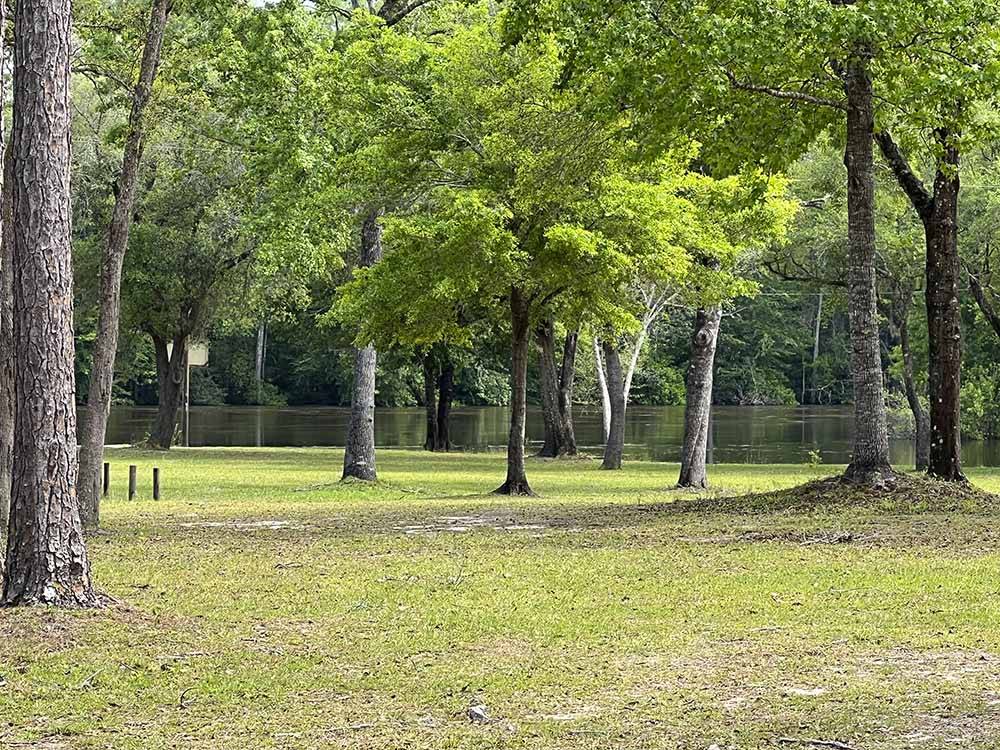 A large field with trees at RIVERS EDGE RV CAMPGROUND