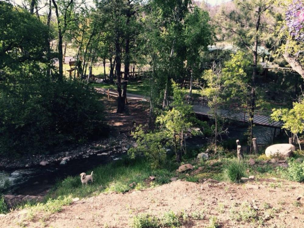 A bridge crossing the creek at Bonito Hollow RV Park & Campground