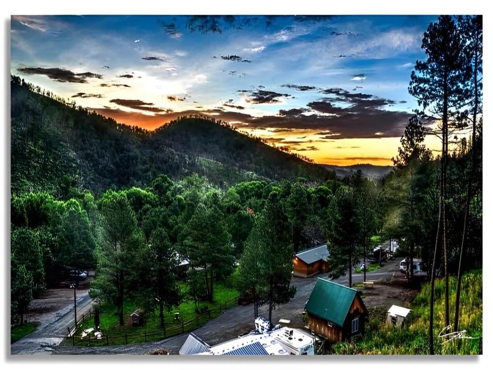 Trees and mountains at Bonito Hollow RV Park & Campground
