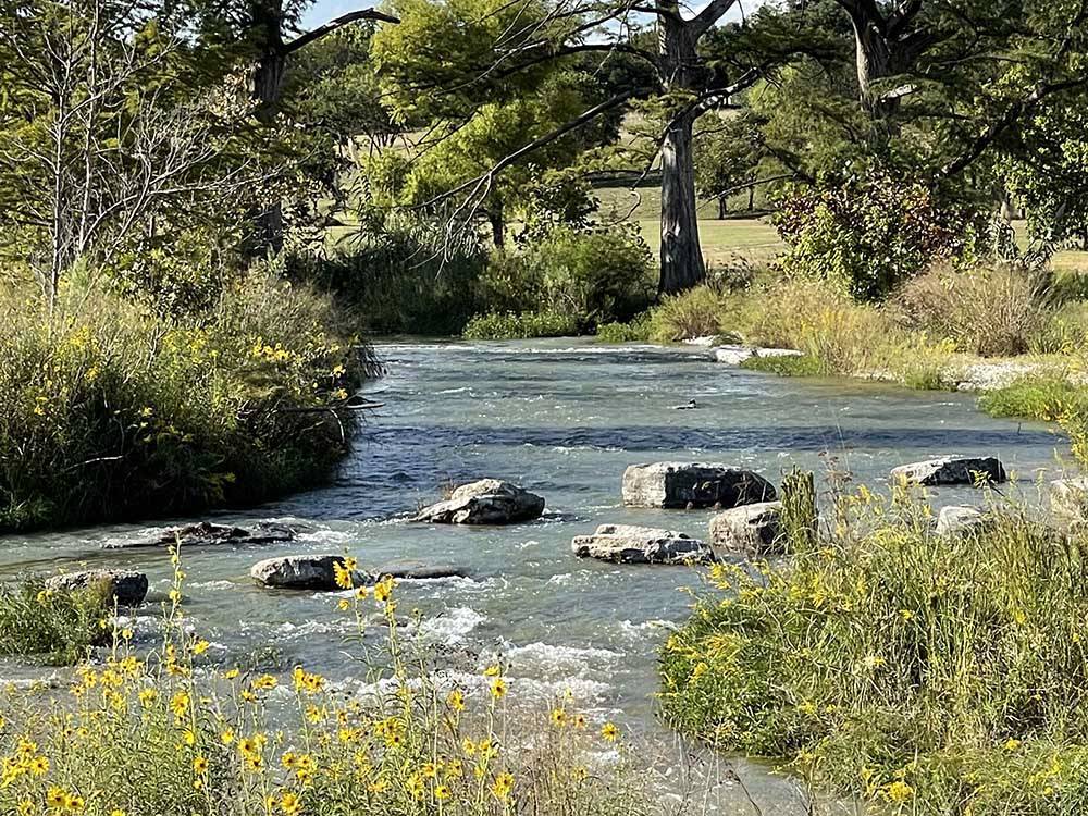 A line of rocks across a river at HTR TX HILL COUNTRY