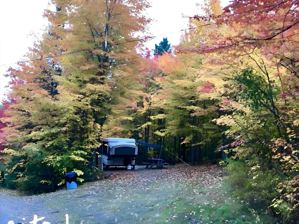 Shady sites at Moosehead Family Campground