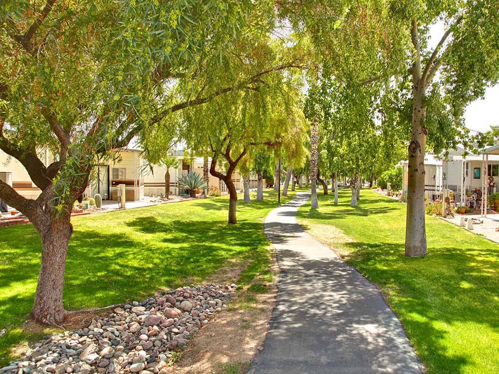 Green trees cast shade over an asphalt footpath flanked by lawn at SUNRISE RV RESORT