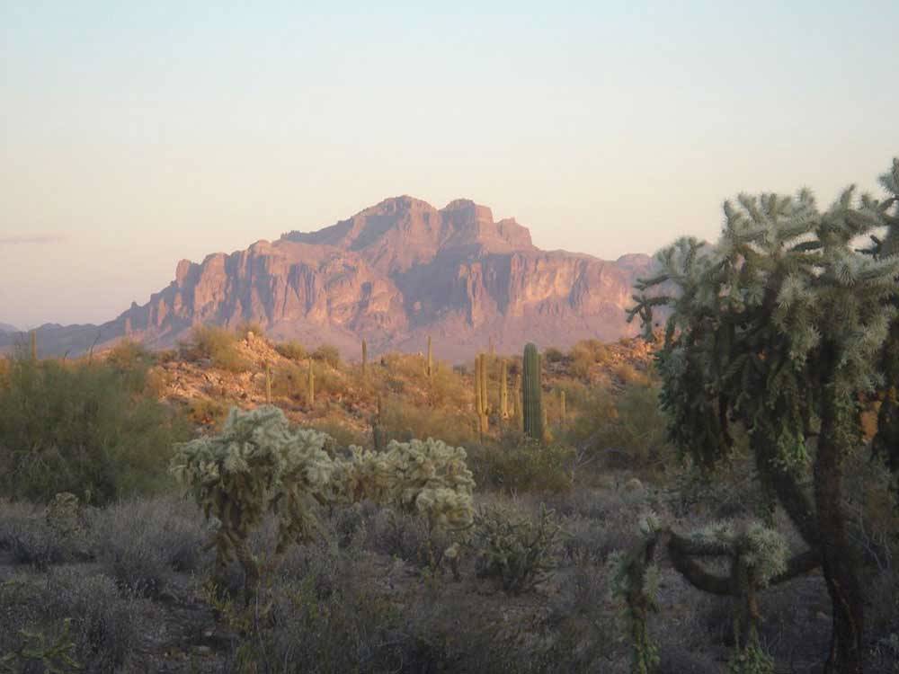 A tall mountain range looms over a desert landscape with cacti at SUNRISE RV RESORT