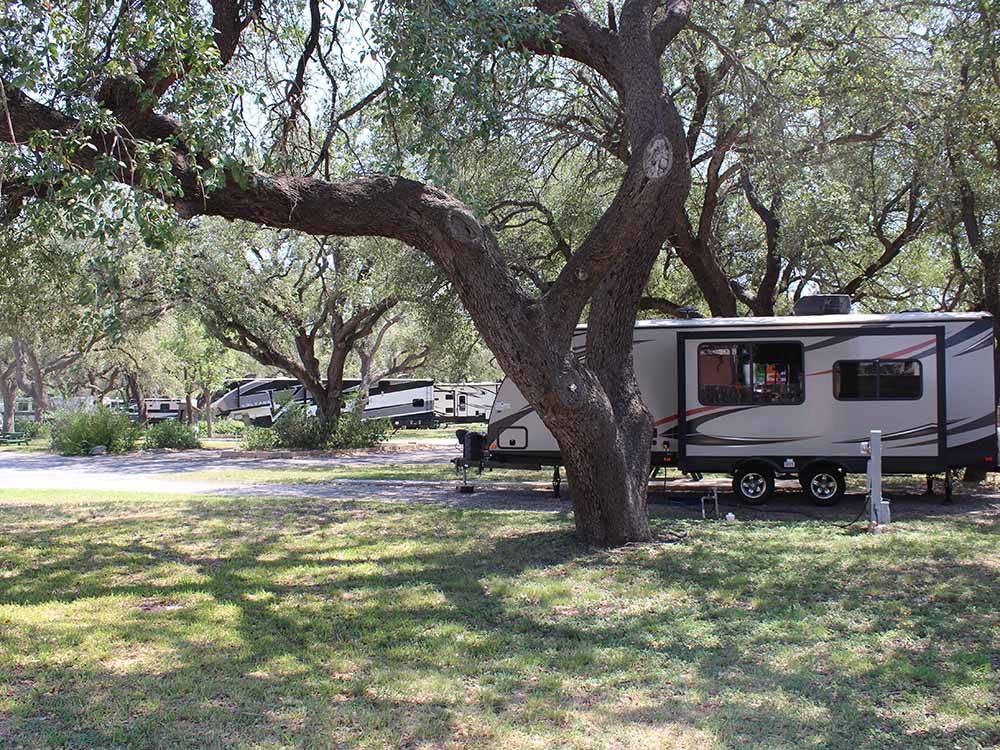 An travel trailer under trees at QUAIL SPRINGS RV PARK