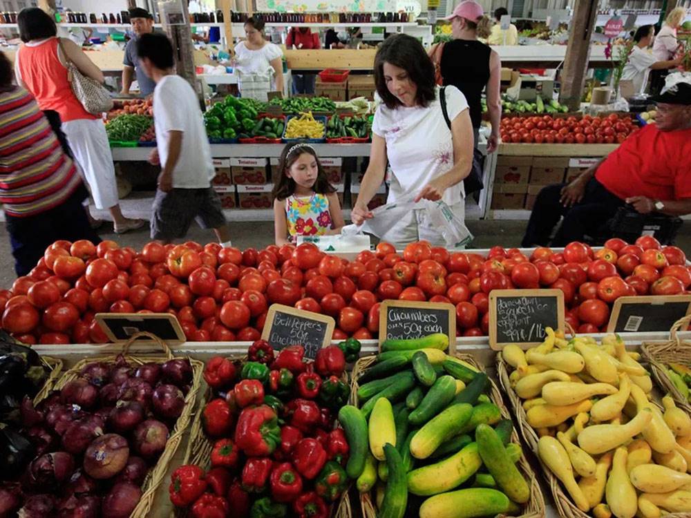 Fruits and vegetables at the farmer's market