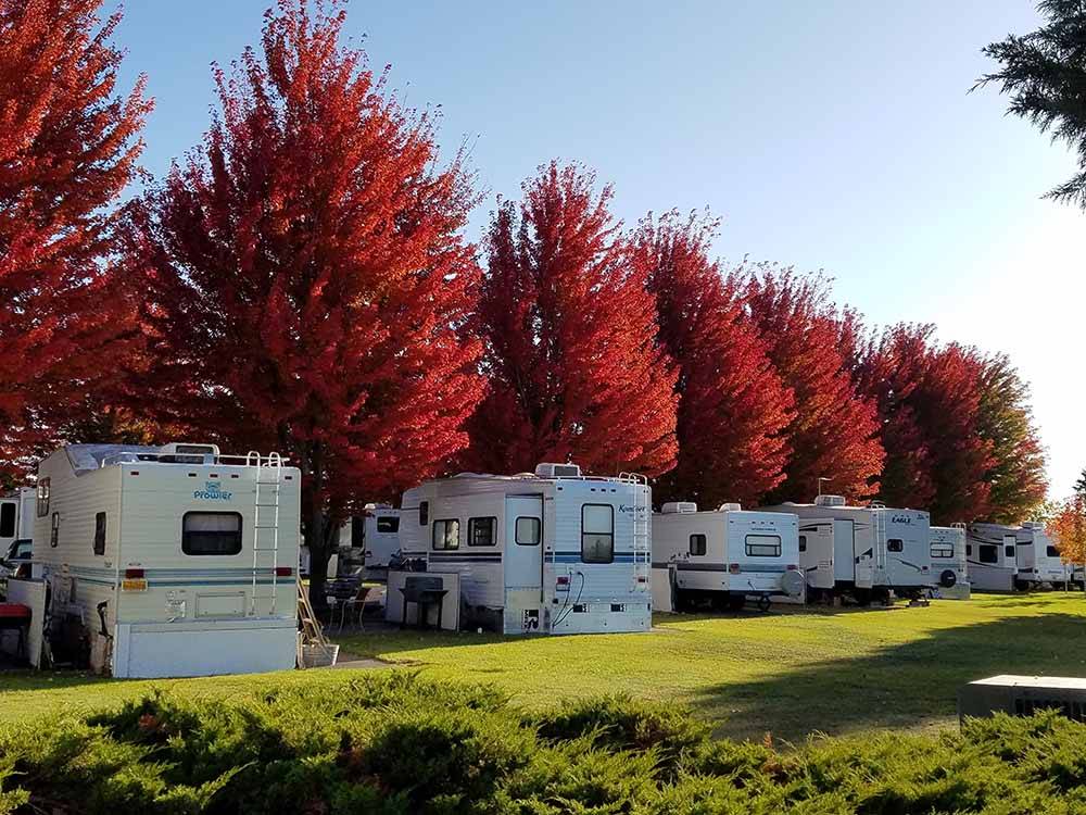 A row of travel trailers under fall foliage at PILOT RV PARK