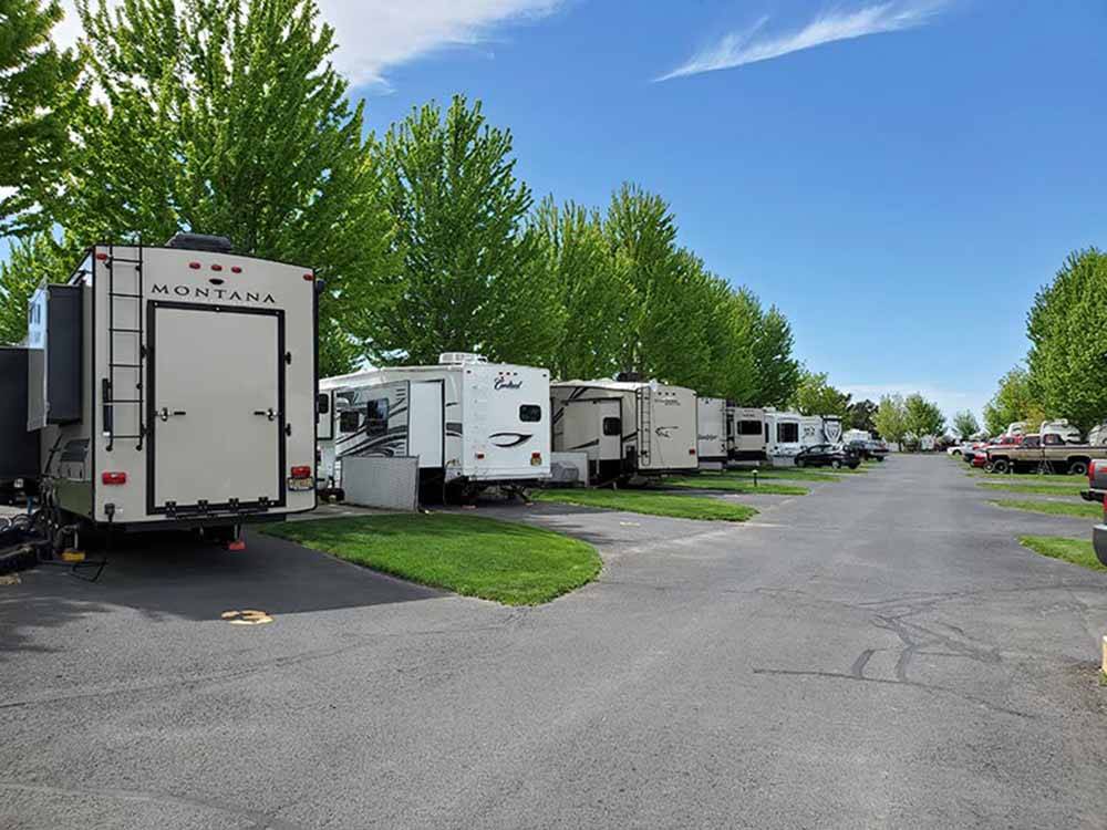 A row of travel trailers under green foliage at PILOT RV PARK