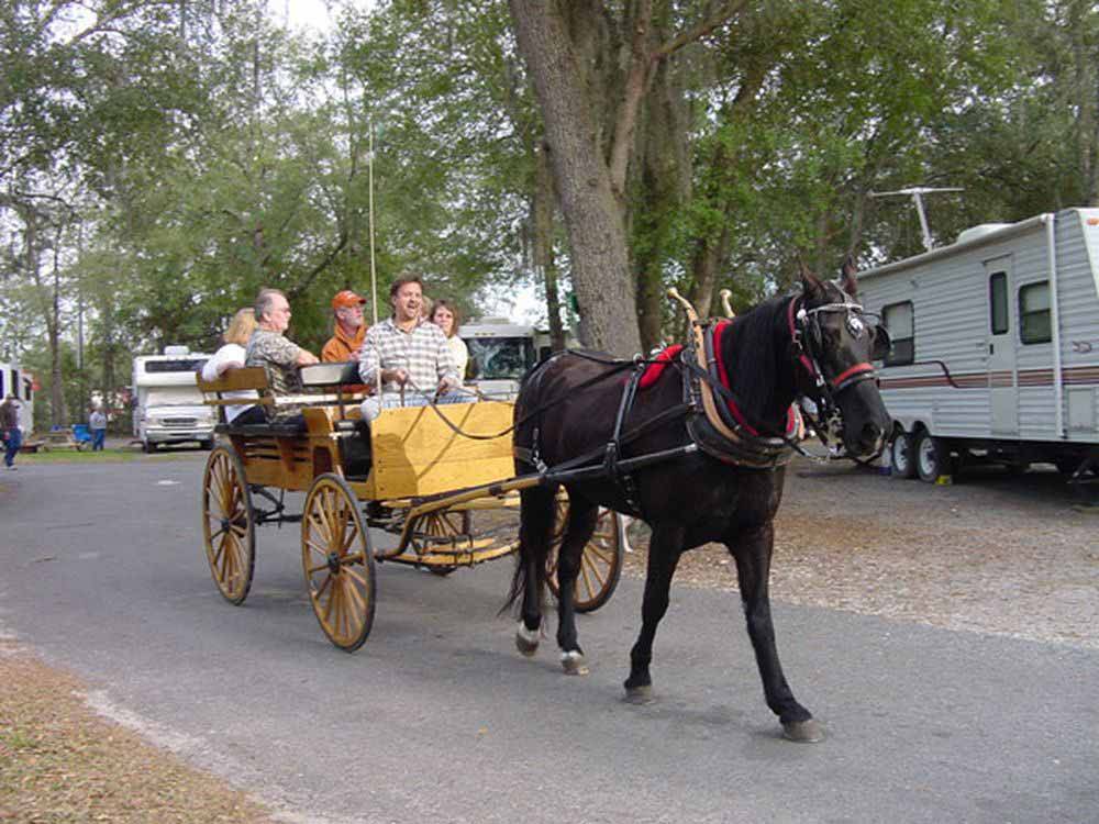 Horse and buggy ride at COUNTRY OAKS RV PARK & CAMPGROUND