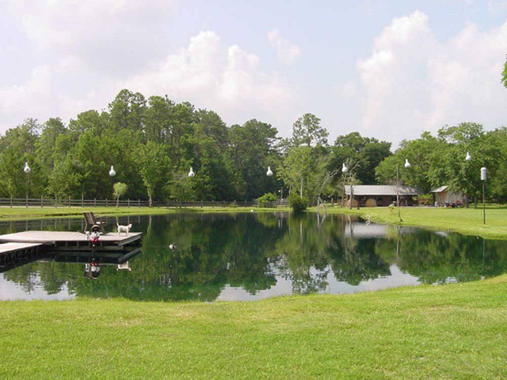 A dock and a dog on the lake at COUNTRY OAKS RV PARK & CAMPGROUND