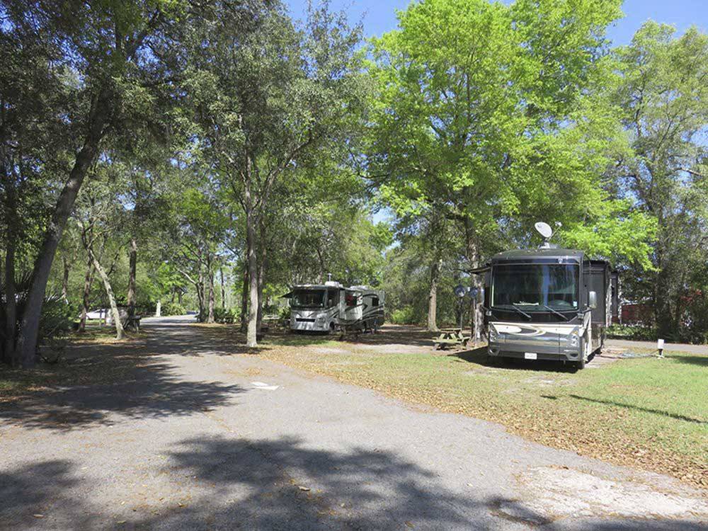A row of paved RV sites at COUNTRY OAKS RV PARK & CAMPGROUND