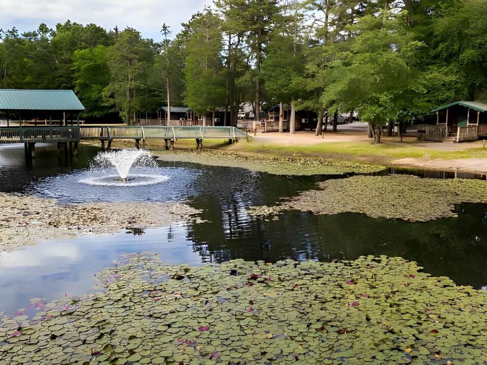 Lily pads on a pond with a fountain at Wading Pines Camping Resort