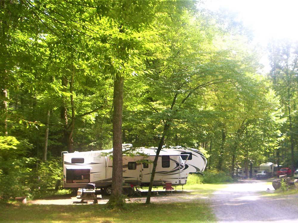 A fifth wheel trailer parked under a tree at WOODSMOKE CAMPGROUND
