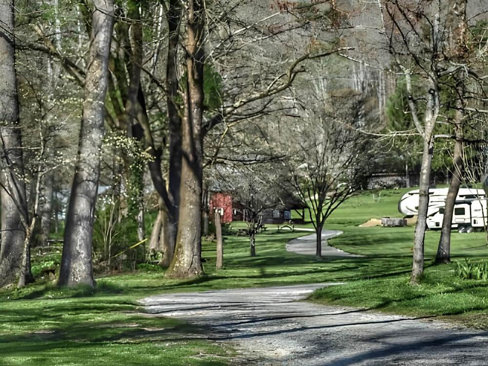 Road leading to campsites