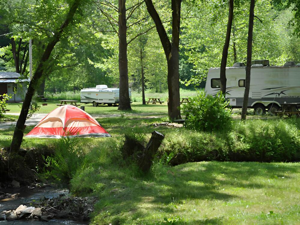 RV and tent camping under trees