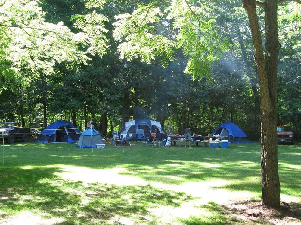 A group of tents in the grass at AUSTIN LAKE RV PARK & CABINS
