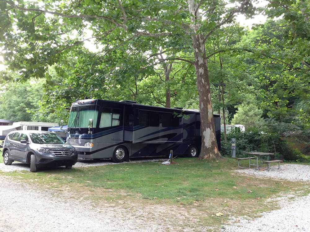 A motorhome parked under a tree at AUSTIN LAKE RV PARK & CABINS
