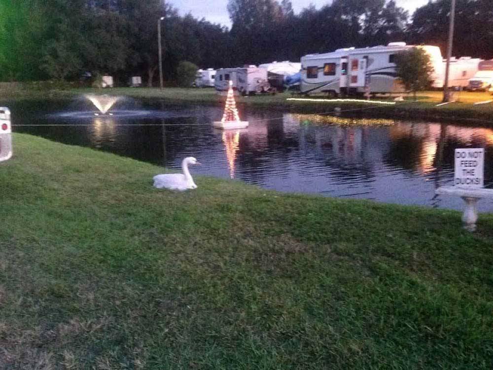 Duck by the water at YANKEE TRAVELER RV PARK